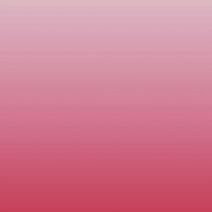 Meet your Posher, Callie